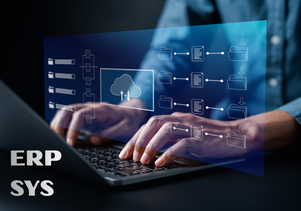 ERP Systems